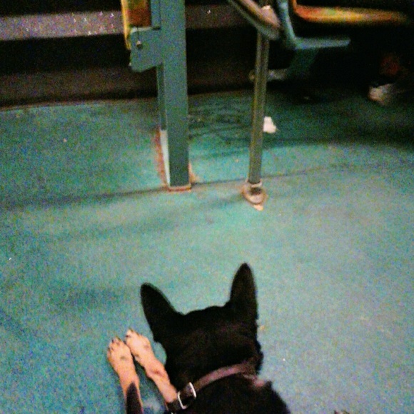 Meet Your Seller TINA!! 😍 - Picture 6 of 7